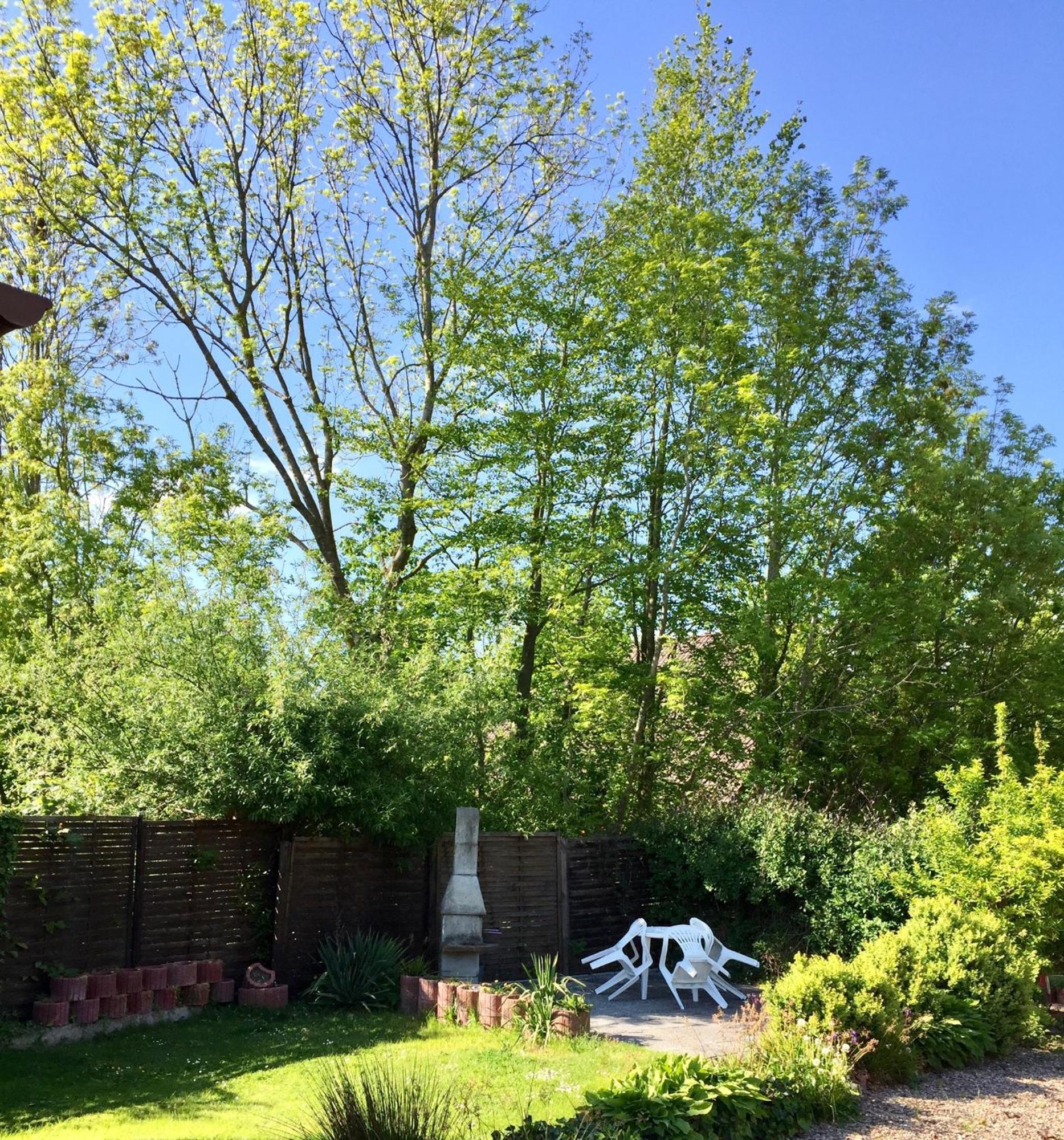 Hostel 66 Bremerhaven Geestland Imsum Екстер'єр фото